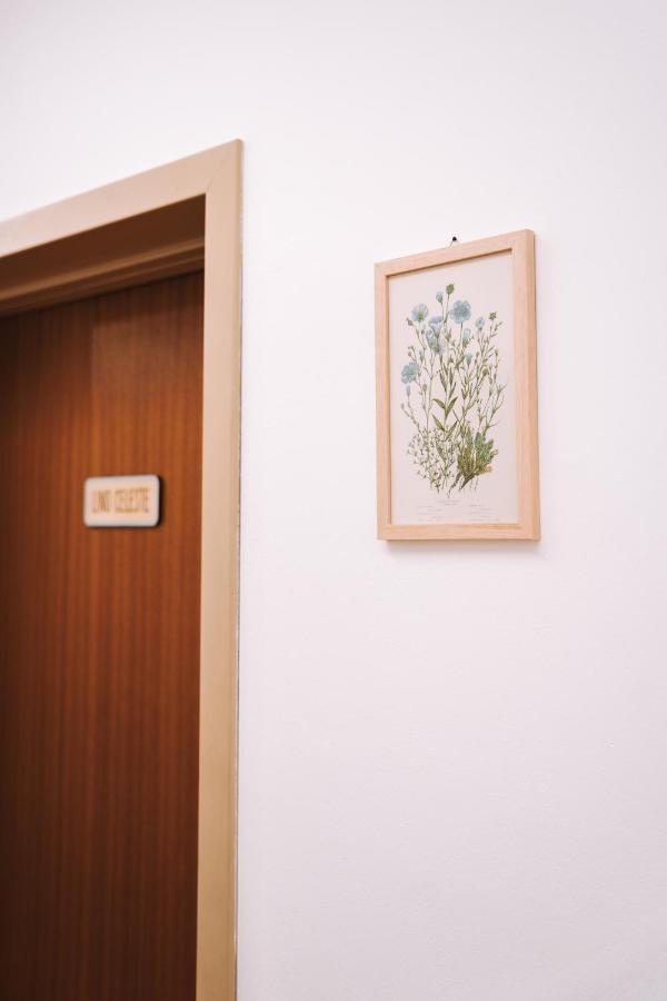 Casa Camilla Bed & Breakfast San Michele allʼAdige Exterior foto